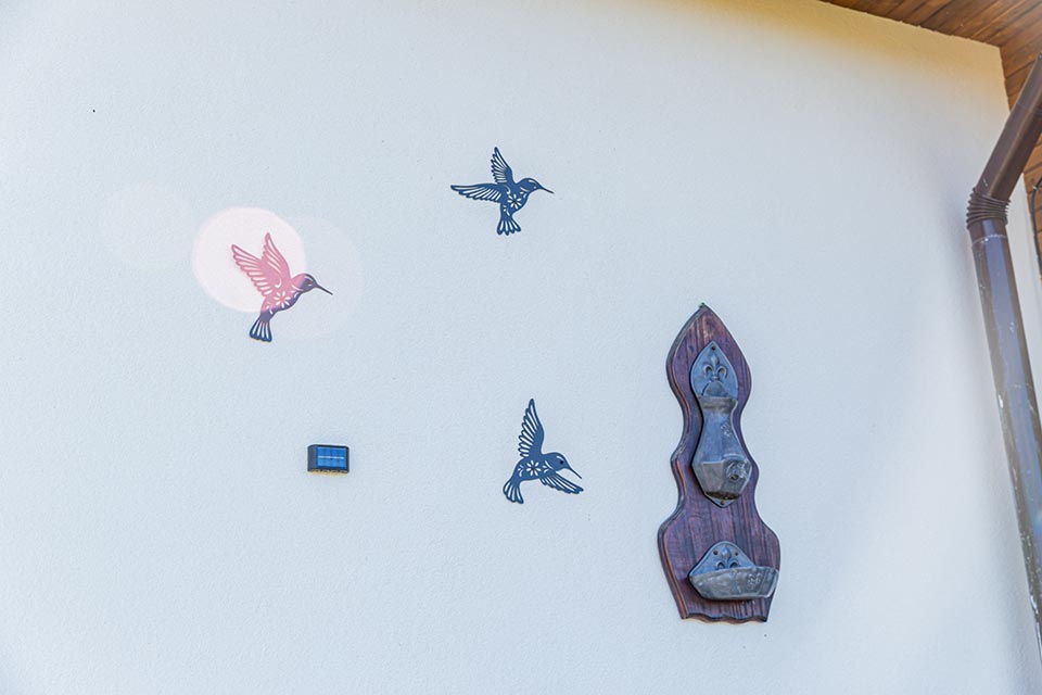 Decoratiune casa de vancata Belis
